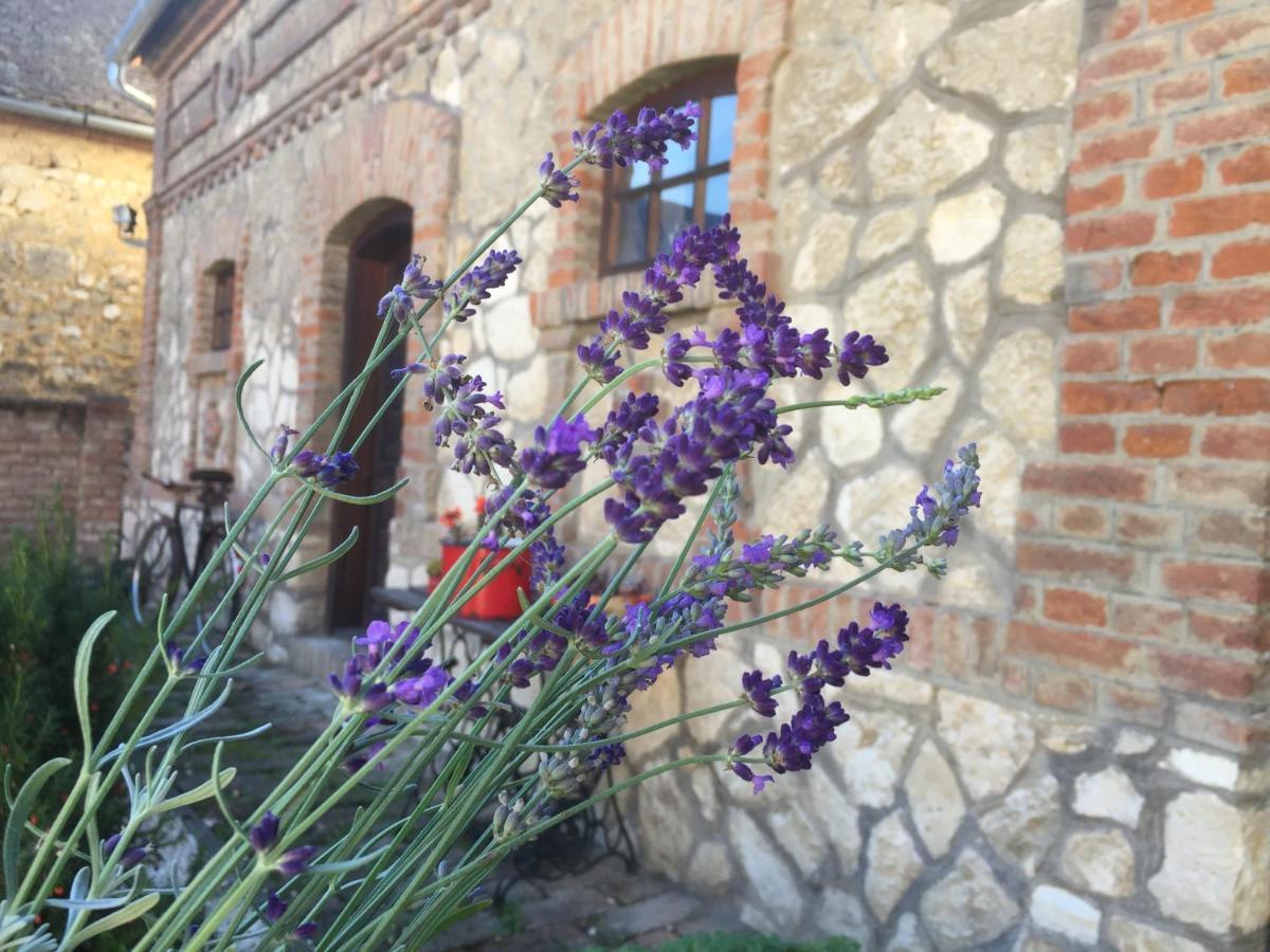 Hotel Levendula Porta Es Pajtaszinhaz Orfű Zewnętrze zdjęcie